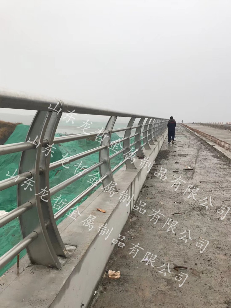 六安不锈钢桥梁护栏工程案例